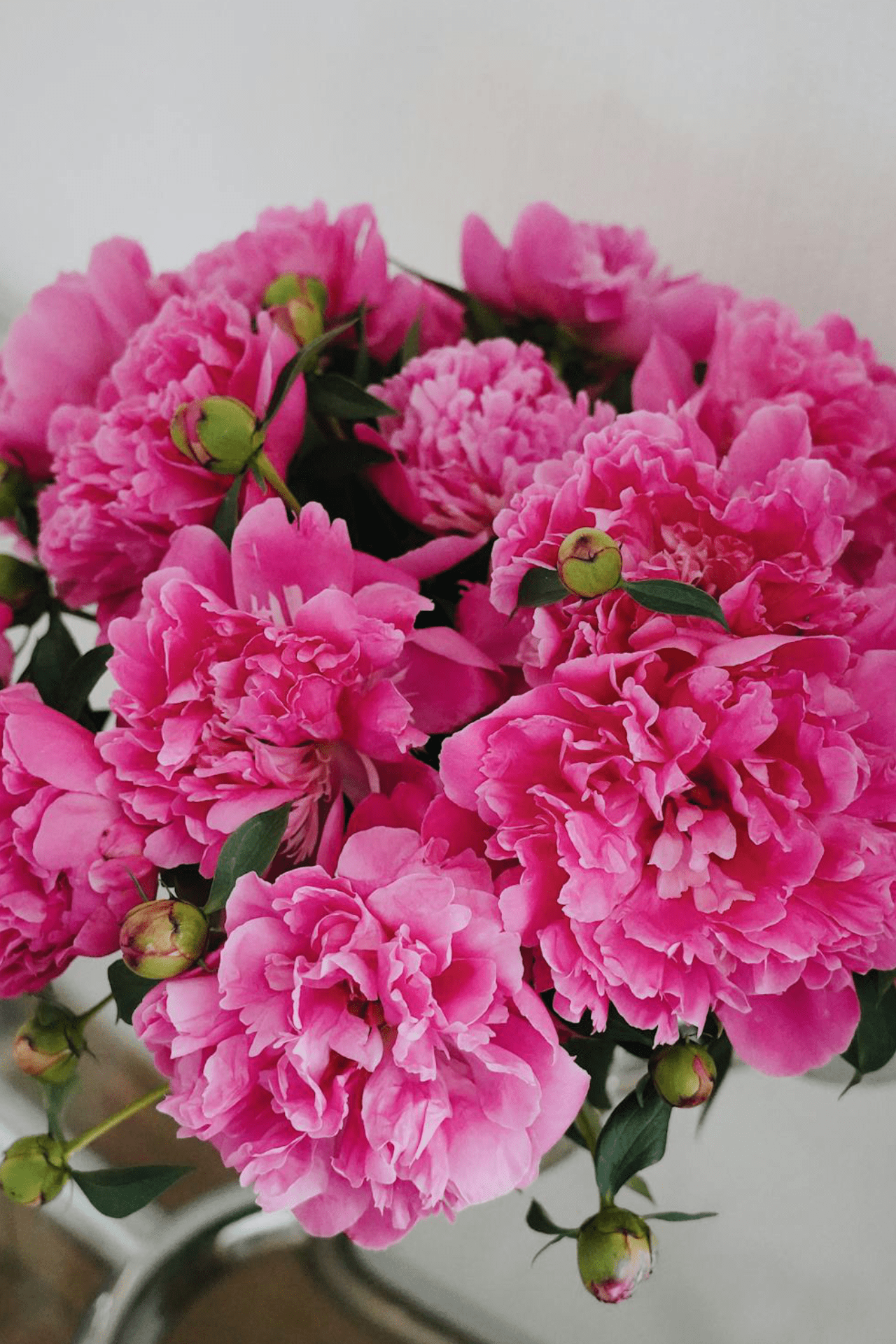 Pink Peony Flowers in a Vase Pink Peony Flowers in a Vase