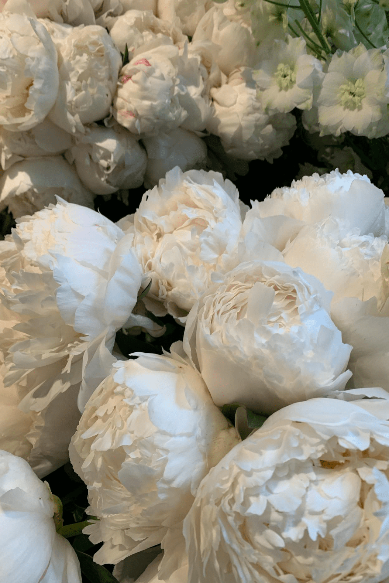 Elegant White Roses Decoration Elegant White Roses Decoration